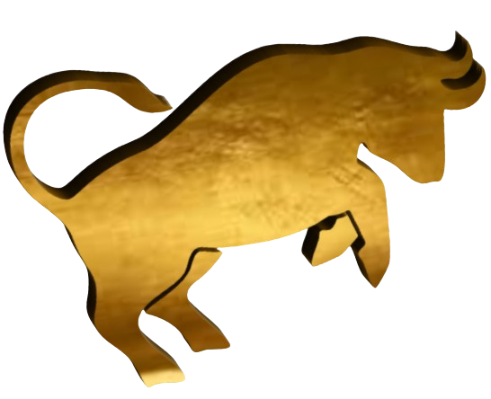 Bull Image